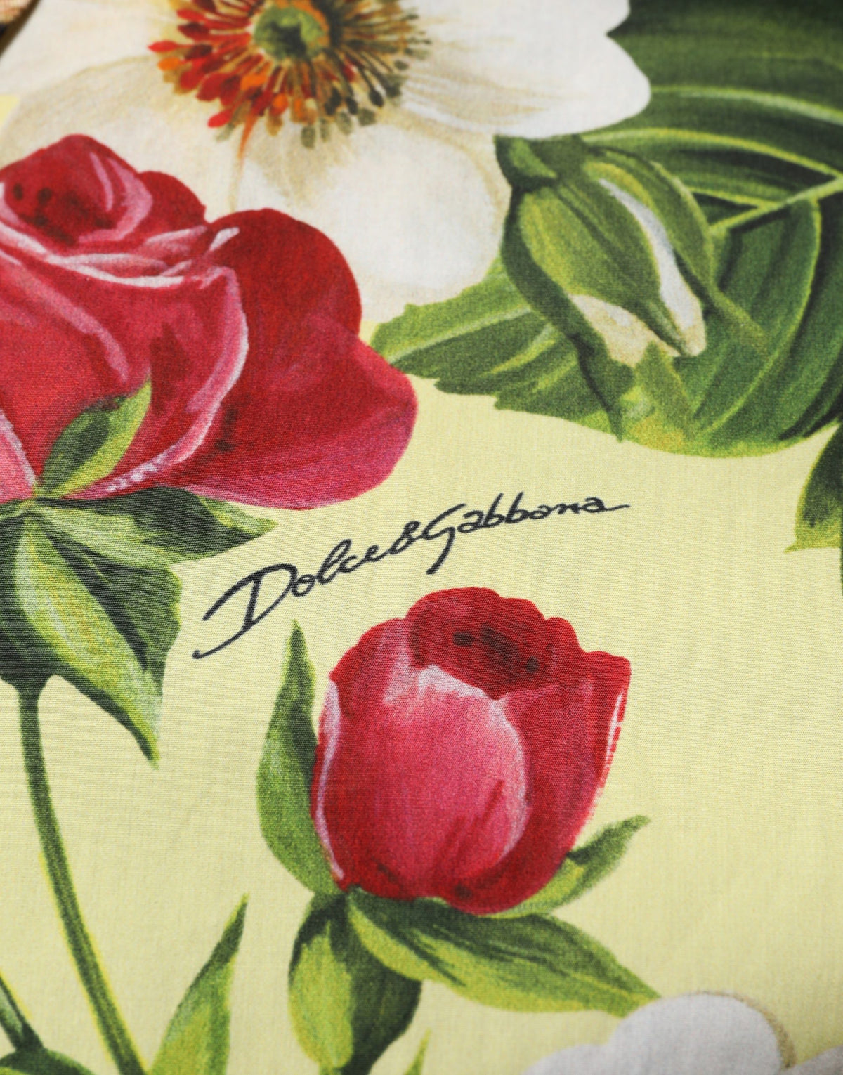 Dolce & Gabbana Multicolor Floral Animal Print Collared Shirt